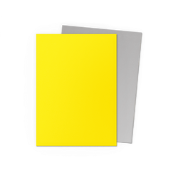 Dragon Shield: Standard 100ct Sleeves - Yellow & Silver (Dual Matte)