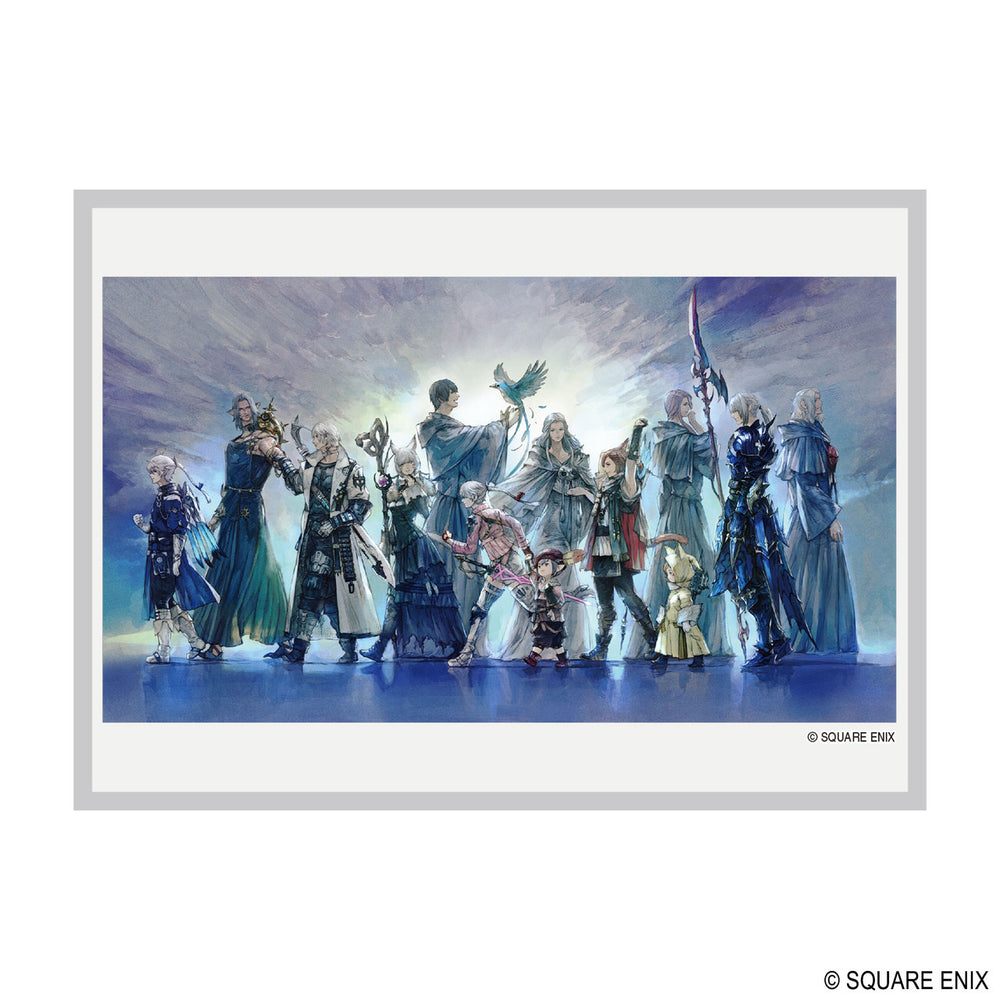 FINAL FANTASY Card Sleeve:  LIGHT'S LEGACY