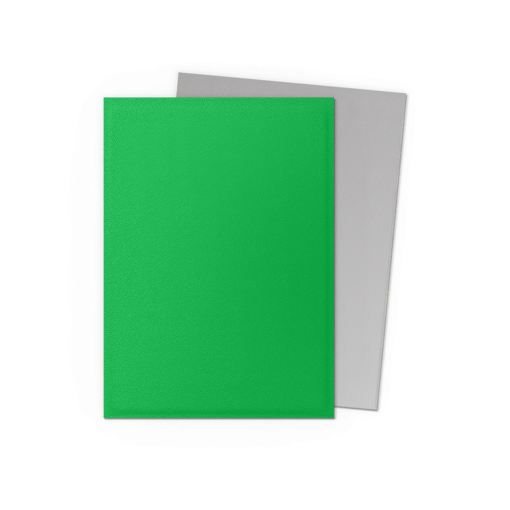 Dragon Shield: Standard 100ct Sleeves - Apple Green & Silver (Dual Matte)